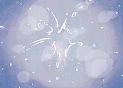 りととともだち P22-23イラスト